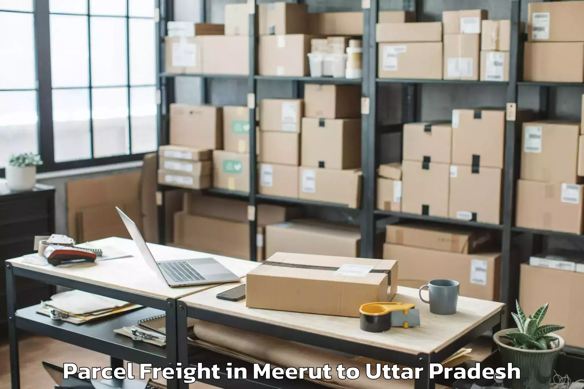 Meerut to Ujhani Parcel Freight